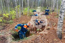 Завершение осенней Вахты Памяти-2026: итоги экспедиции поискового отряда Академии ГПС МЧС России